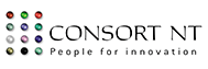 Consort NT Logo